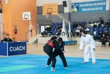 An Giang phát triển phong trào Pencak Silat 