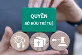 Ra quân cao điểm xử lý vi phạm sở hữu trí tuệ trên toàn quốc
