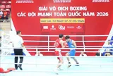 Giải vô địch Boxing các đội mạnh toàn quốc 2026: 312 vận động viên tham gia tranh tài