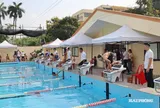 Gần 1.300 vận động viên tranh tài Giải Bơi học sinh thành phố Hải Phòng