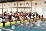 Hơn 260 vận động viên tranh tài tại Giải Bơi - Lặn vô địch các nhóm tuổi quốc gia năm 2026