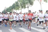 Thể thao Đồng Tháp tập trung phát triển phong trào