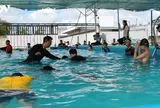 Thành phố Cần Thơ chung tay phòng, chống đuối nước trẻ em