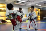 Bạn Linh Chi - ở Tuyên Quang hỏi: Môn Taekwondo có nguồn gốc từ đâu và lợi ích khi tập luyện môn võ này đối với trẻ nhỏ?