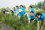 Triển khai Phong trào thi đua “Toàn dân chung tay bảo vệ môi trường, vì một Việt Nam xanh - sạch - đẹp”