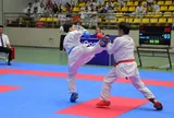  340 vận động viên tranh tài tại Giải Karate, Taekwondo tỉnh Bắc Ninh năm 2026