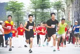 Triển khai mạnh mẽ phong trào “mỗi người dân lựa chọn ít nhất một môn thể thao phù hợp để tập luyện thường xuyên”, tổ chức thành công Đại hội Thể thao toàn quốc lần thứ X 