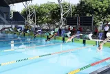 Khai mạc Giải Bơi và Lặn vô địch trẻ quốc gia năm 2026