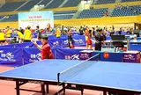 660 tay vợt tranh tài tại Giải vô địch Bóng bàn trẻ, thiếu niên, nhi đồng quốc gia 2026