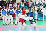 Giải Taekwondo đồng đội các lứa tuổi tranh Cúp VLUTE năm 2026