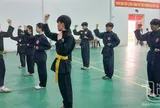 Thái Nguyên phát triển phong trào võ cổ truyền trong trường học