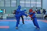 Giải vô địch Vovinam miền Trung - Tây Nguyên lần thứ IV