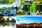 Bộ Văn hóa, Thể thao và Du lịch: Thành lập Ban Giám khảo Cuộc thi tìm hiểu về cải cách hành chính