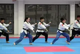 Taekwondo Việt Nam tham dự Giải vô địch Quyền thế giới 2026