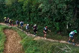 Giải chạy Mù Cang Chải Ultra Trail 2026