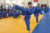 212 thí sinh thi thăng cấp Trung đẳng Vovinam mở rộng Đồng bằng sông Cửu Long