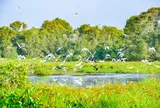 Khám phá vẻ đẹp văn hóa, lịch sử, du lịch và ẩm thực đặc sắc, độc đáo miền Đất Sen Hồng