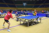 Sôi nổi Đại hội Thể dục thể thao thành phố Đà Nẵng lần thứ X