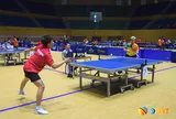 Đại hội Thể dục thể thao thành phố Đà Nẵng: Lan tỏa khí thế sôi nổi