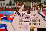 Rà soát việc tổ chức thi thăng cấp, đẳng Taekwondo tại Cà Mau: Cần làm rõ theo quy định hiện hành