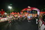 Rực rỡ ngày khai cuộc Buôn Ma Thuột Robusta Half Marathon VTV8 2026