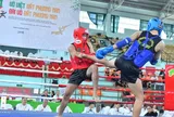 Khai mạc Liên hoan Võ cổ truyền TP.HCM mở rộng 2026: Rực rỡ "Đài võ đất phương Nam"