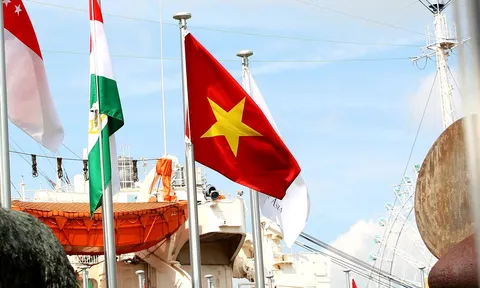 Quốc kỳ Việt Nam tung bay trên bầu trời Nagoya