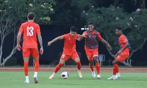 FIFA ASEAN Cup 2026: Sân chơi của cầu thủ nhập tịch