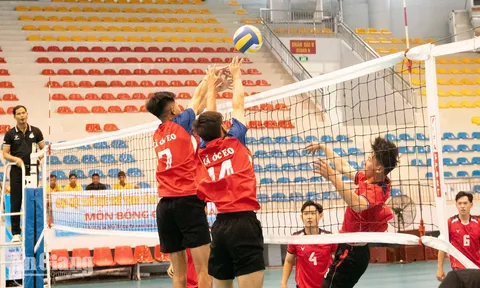 Khởi tranh môn Bóng chuyền nam Đại hội Thể dục thể thao tỉnh An Giang lần thứ I năm 2026