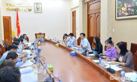 Đồng Tháp dồn lực chuẩn bị chu đáo cho Đại hội Thể dục thể thao tỉnh lần thứ I năm 2026