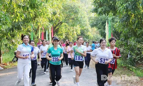 Đại hội Thể dục thể thao tỉnh Đồng Tháp lần thứ I năm 2026: Ngày hội thể thao lớn lan tỏa từ cơ sở