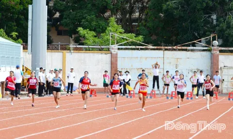 Sôi nổi cuộc đua tranh huy chương giai đoạn 2 Đại hội Thể dục thể thao tỉnh Đồng Tháp lần thứ I