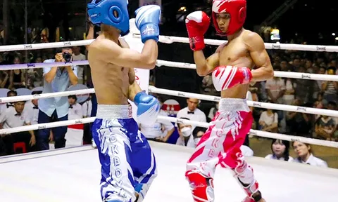 Kickboxing Cần Thơ tăng tốc tập huấn, quyết tâm săn vàng tại Đại hội Thể thao toàn quốc lần thứ X