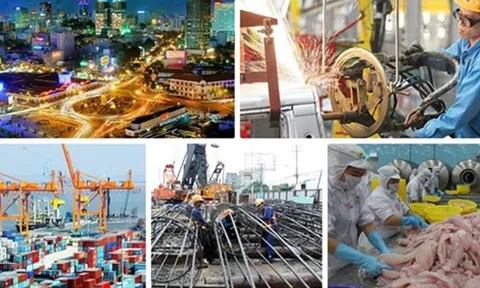 Chính phủ ban hành chương trình hành động cơ cấu lại nền kinh tế giai đoạn 2021-2025