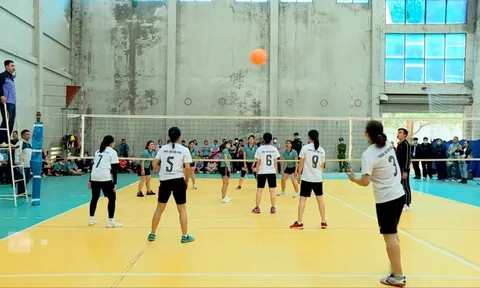 Giải Bóng chuyền hơi nữ - Đại hội Thể dục thể thao tỉnh Ninh Bình lần thứ VII  