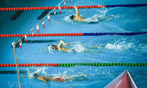 Đội tuyển bơi lội tập luyện tích cực, hướng tới 8 huy chương vàng SEA Games 31