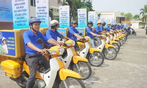 Tham vấn ý kiến chuyên gia quốc tế về Luật BHXH