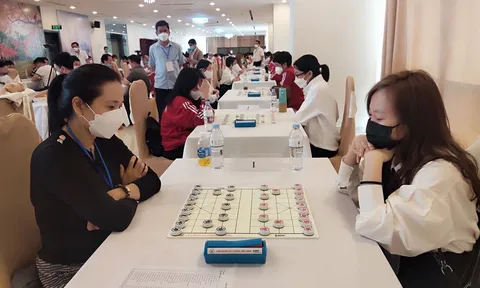 Cờ tướng Việt Nam hy vọng không làm người hâm mộ thất vọng 