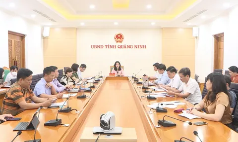 Quảng Ninh rà soát các nhiệm vụ, công tác chuẩn bị cho SEA Games 31 