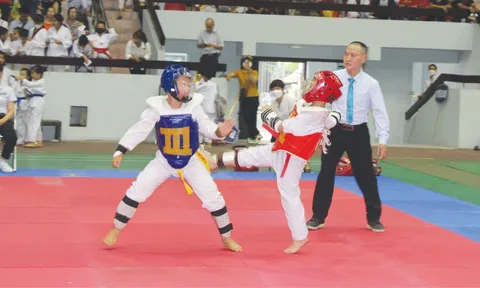 Giải Taekwondo Thiếu niên, Nhi đồng tỉnh Bắc Giang mở rộng lần thứ III 