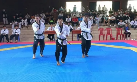 Giải Taekwondo Đại hội Thể dục thể thao tỉnh Đồng Tháp lần thứ IX 