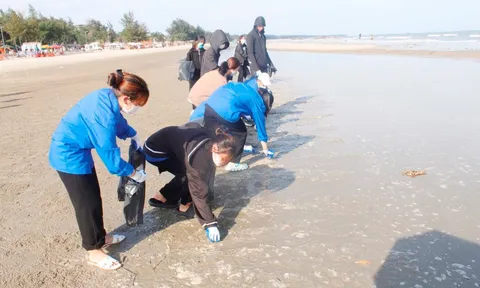 Bộ Văn hóa, Thể thao và Du lịch hưởng ứng Ngày Môi trường thế giới, tháng hành động vì môi trường