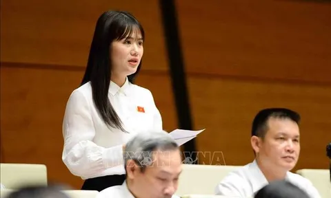 Kỳ họp thứ ba - Quốc hội khóa XV: Cần làm rõ hơn một số quy định về hành vi bạo lực gia đình