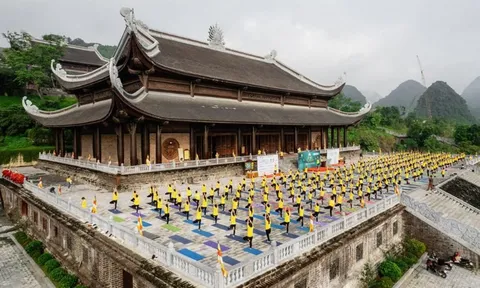 Tổ chức Ngày Quốc tế Yoga tại 8 tỉnh, thành phố ở Việt Nam