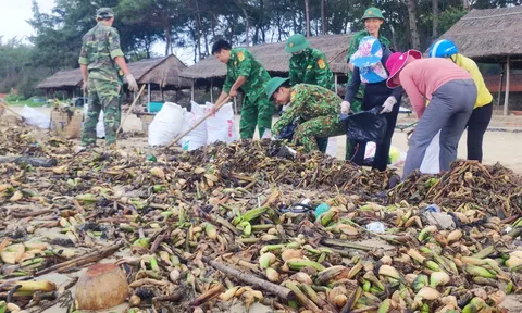 Tổ chức ra quân làm sạch biển, thu gom rác thải ở thành phố Vũng Tàu
