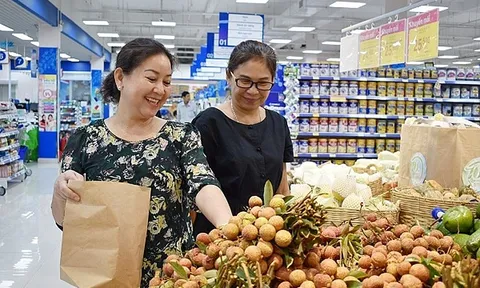Xây dựng Lối "Sống xanh" góp phần bảo vệ môi trường ở Nam Định