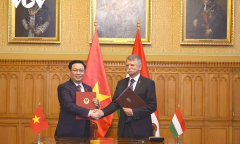 Việt Nam luôn coi trọng, mong muốn tăng cường quan hệ hữu nghị hợp tác nhiều mặt với Hungary