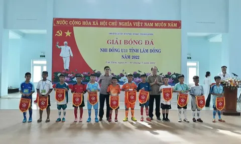 Giải Bóng đá mini U11 tỉnh Lâm Đồng