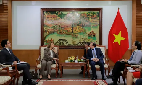 Thứ trưởng Tạ Quang Đông tiếp Đại sứ Ai Cập và Đại sứ Angola
