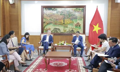 Thứ trưởng Hoàng Đạo Cương tiếp Trưởng Đại diện UNESCO tại Việt Nam